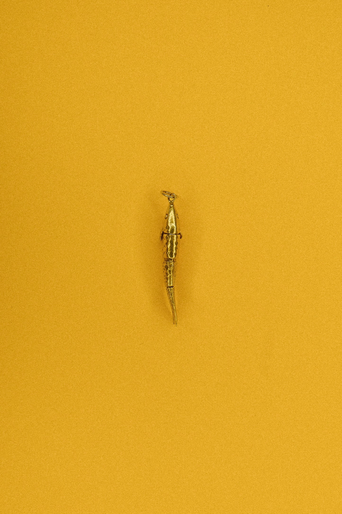 Antique Lucky Fish Charm Necklace